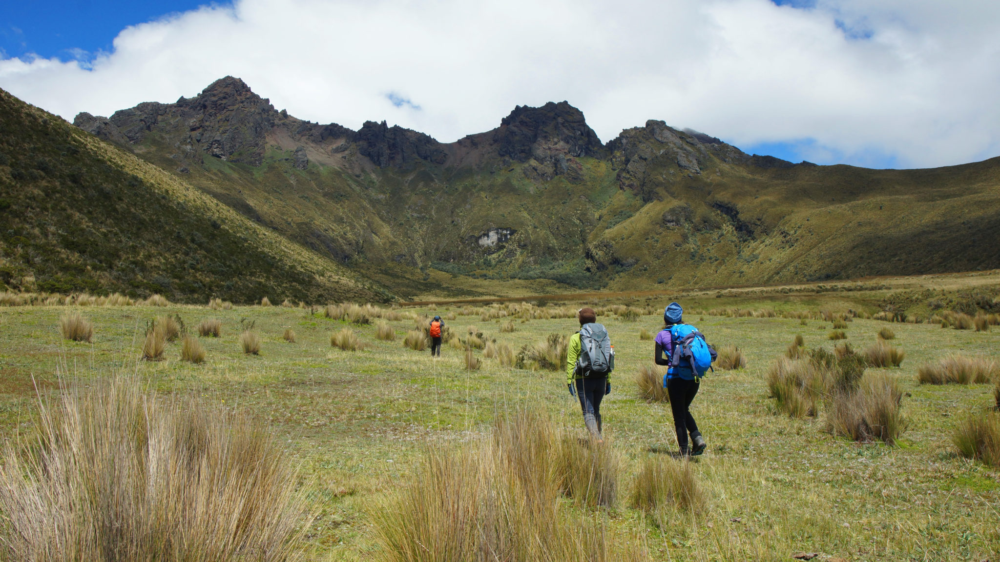 Group of hikers walking in the middle of the valley in the direction of ...