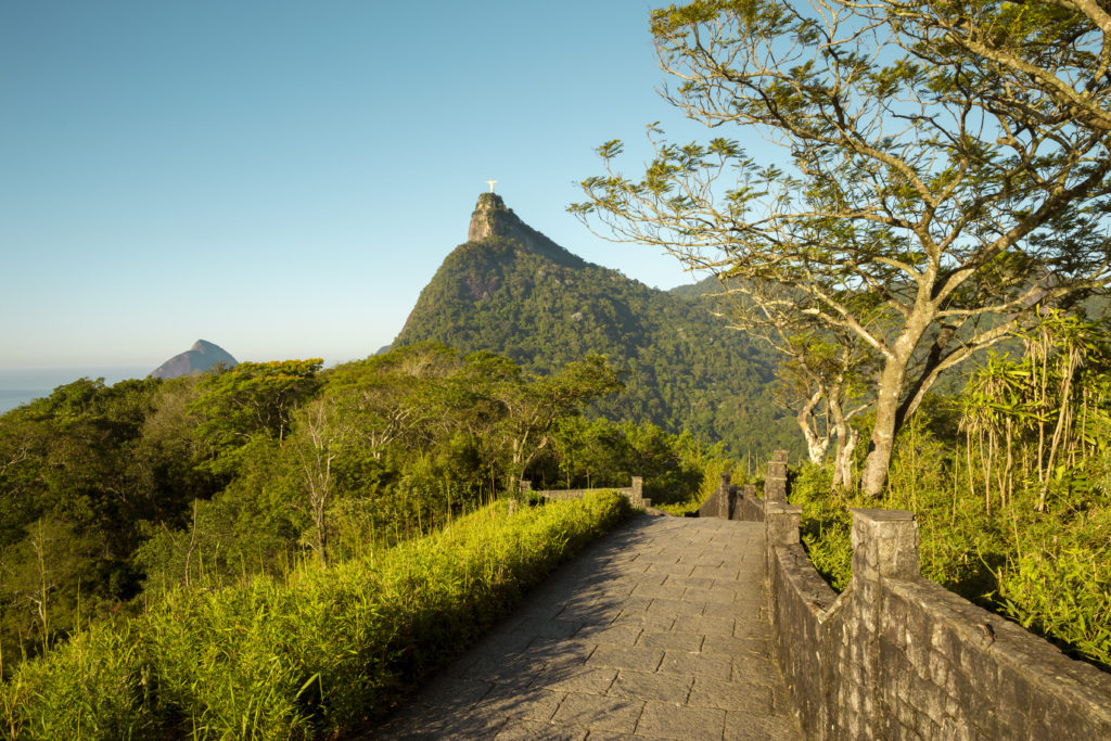 Panorama Of Tijuca Forest And Corcovado Mountain In Rio De Janeiro ...